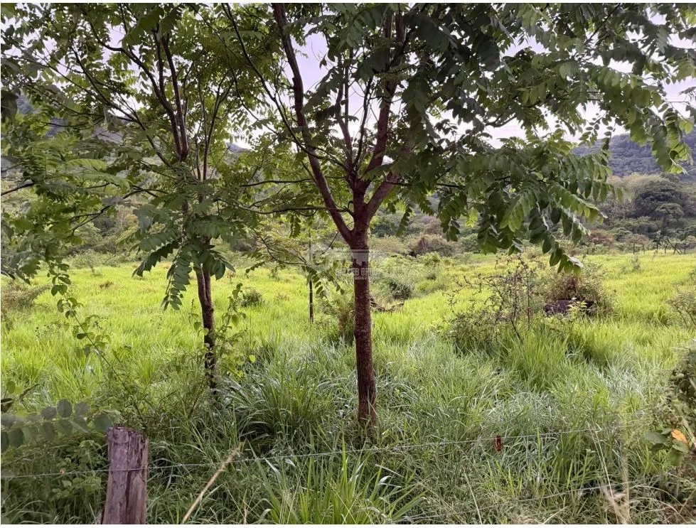Building Lot for sale in Sora