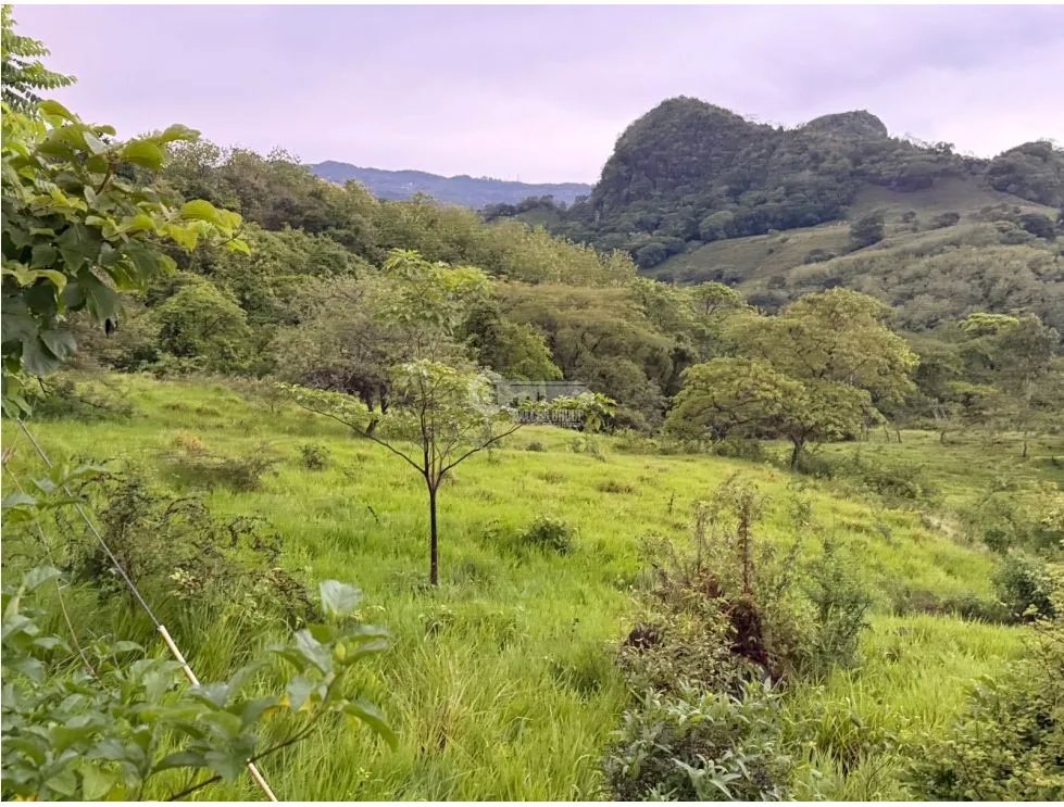 Building Lot for sale in Sora