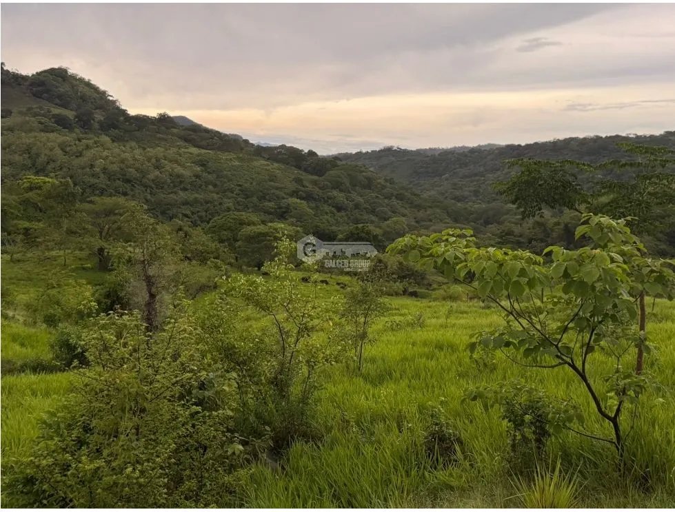 Building Lot for sale in Sora