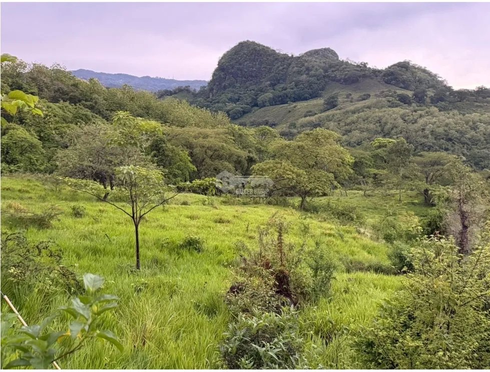 Building Lot for sale in Sora