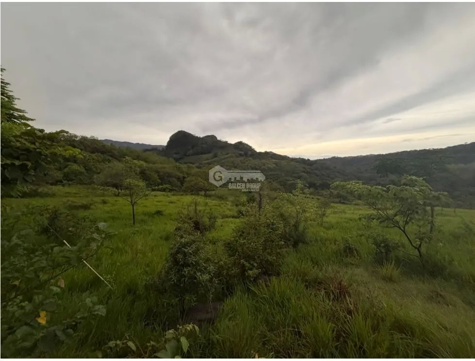 Land/Farm for sale in Sora