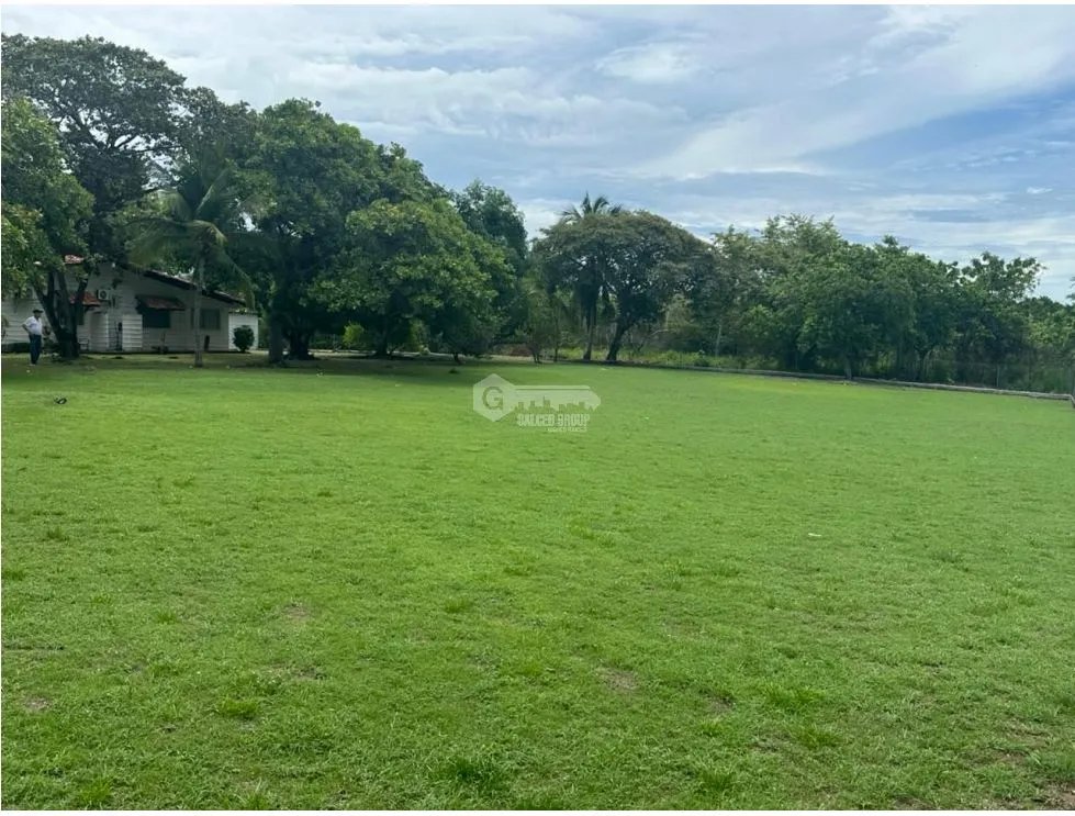 TERRENO / CHAME / 1250 M2 / CORONADO / LOTE PLANO