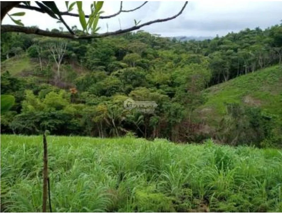 SE VENDE TERRENO EN CAPIRA CERMEÑO 21 HECTAREAS INVERSION REMATE