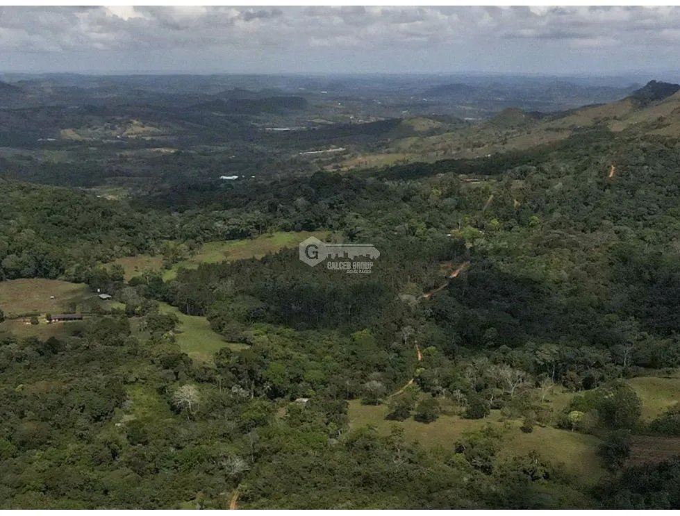 SE VENDE TERRENO EN CAPIRA CERMEÑO 21 HECTAREAS INVERSION REMATE