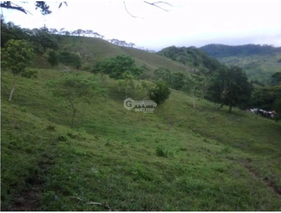SE VENDE TERRENO EN CAPIRA CERMEÑO 21 HECTAREAS INVERSION REMATE