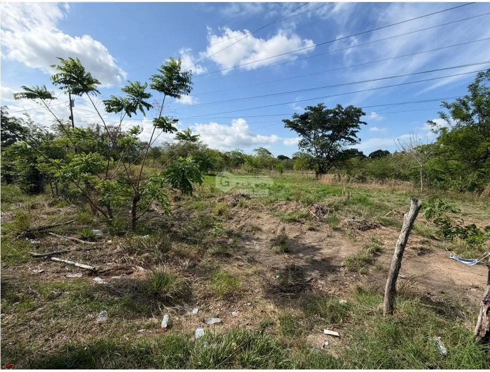 Land/Farm for sale in Chame