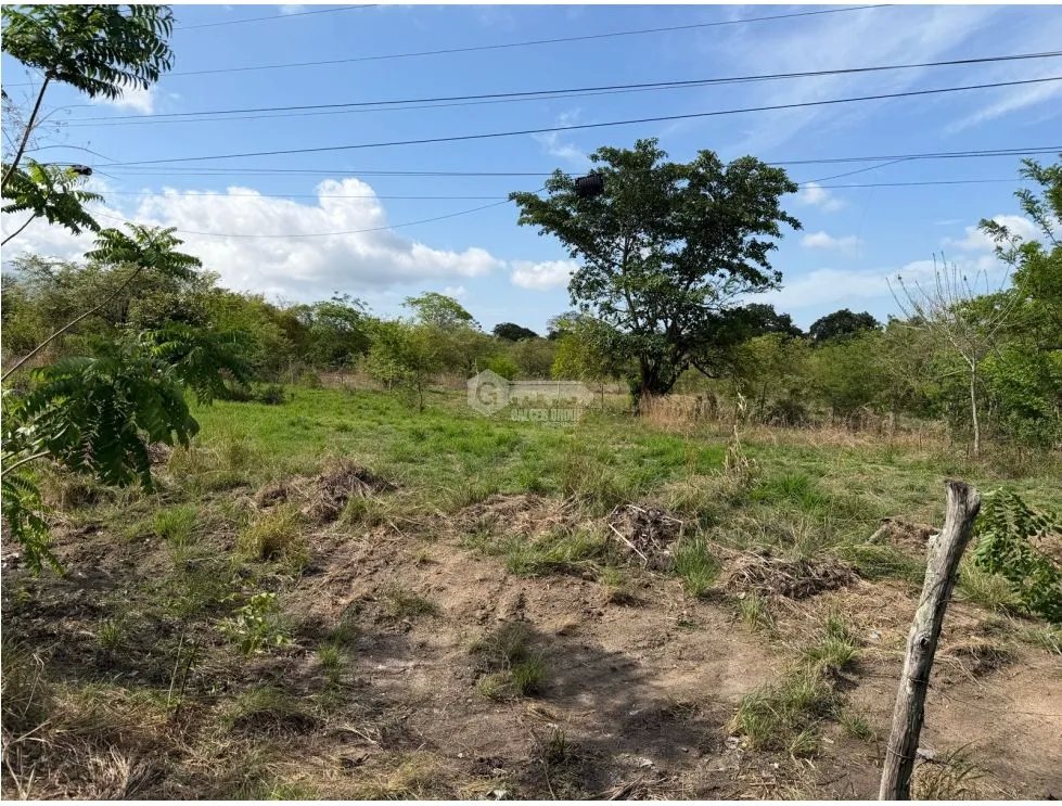 Land/Farm for sale in Chame