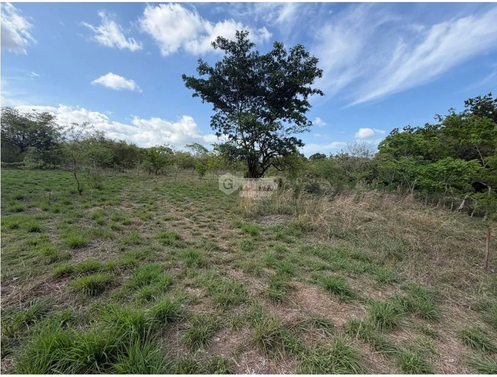 Land/Farm for sale in Chame