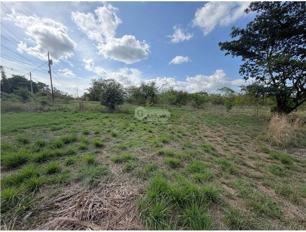 Land/Farm for sale in Chame