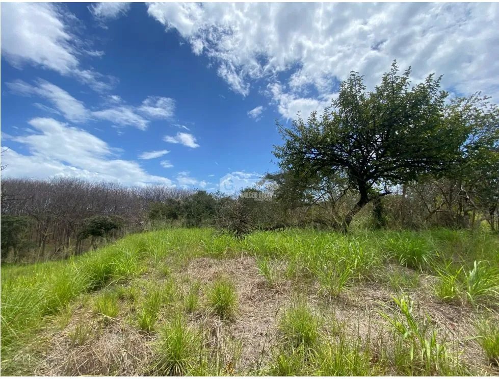 Building Lot for sale in San Carlos