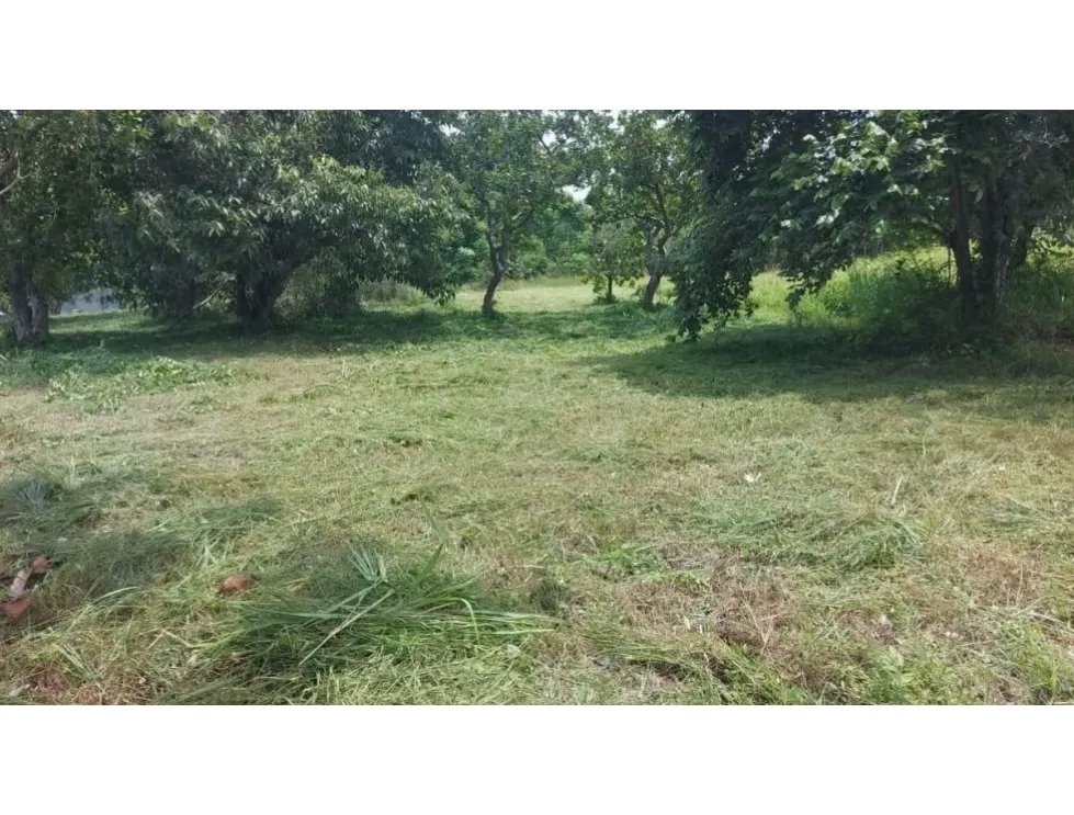 TERRENO / CORONADO / 1,198 M2 / LOTE PLANO / DENTRO DEL CLUB