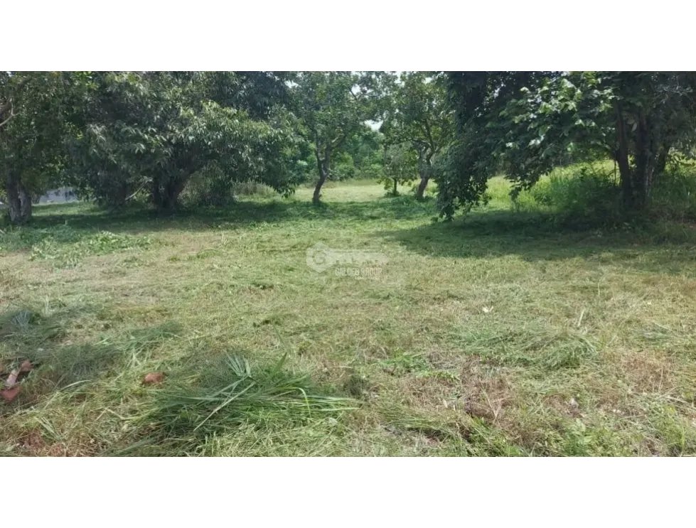 TERRENO / CORONADO / 1,198 M2 / LOTE PLANO / DENTRO DEL CLUB