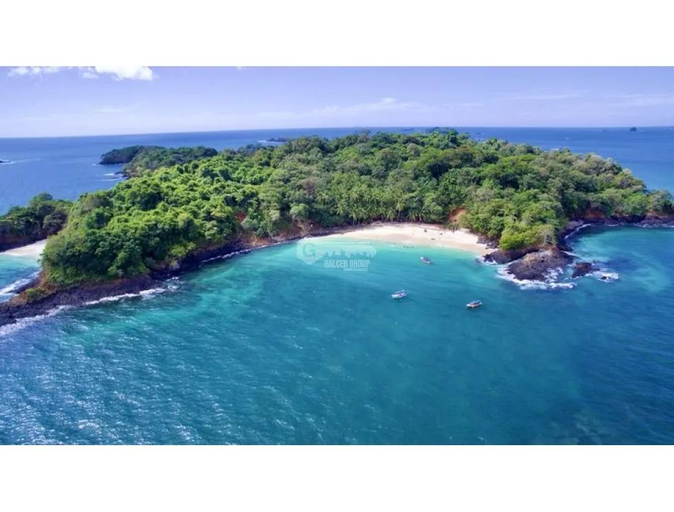 Land/Farm for sale in Chiriqui
