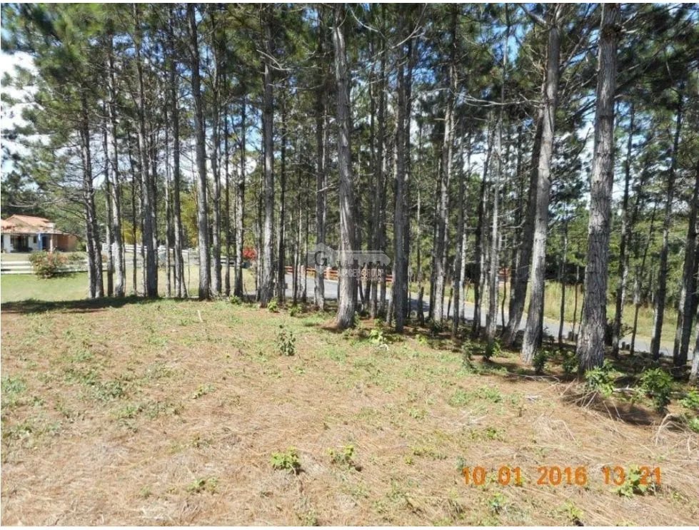 Building Lot for sale in Chame