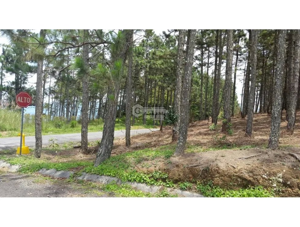 Building Lot for sale in Chame
