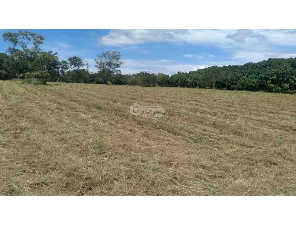 Building Lot for sale in Coronado