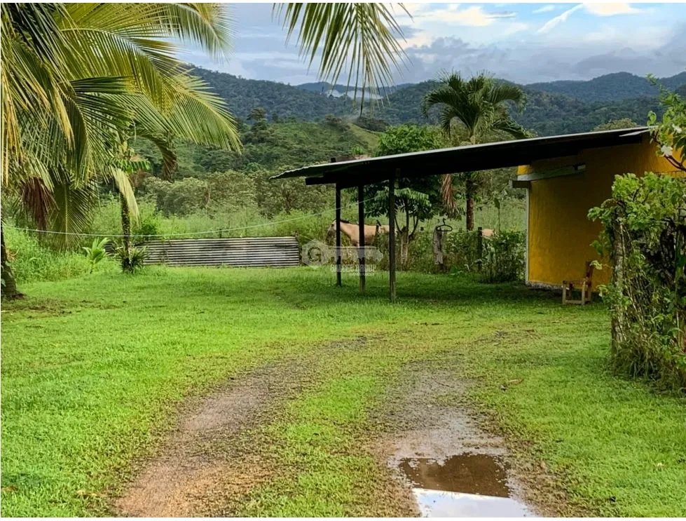 PORTOBELO COLON / NUEVO TONOSI / CASA CON RESTAURANTE / 1 HECT