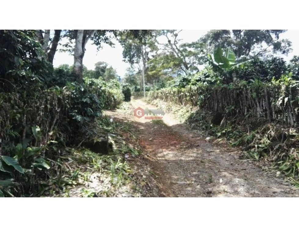 Land/Farm for sale in Boquete
