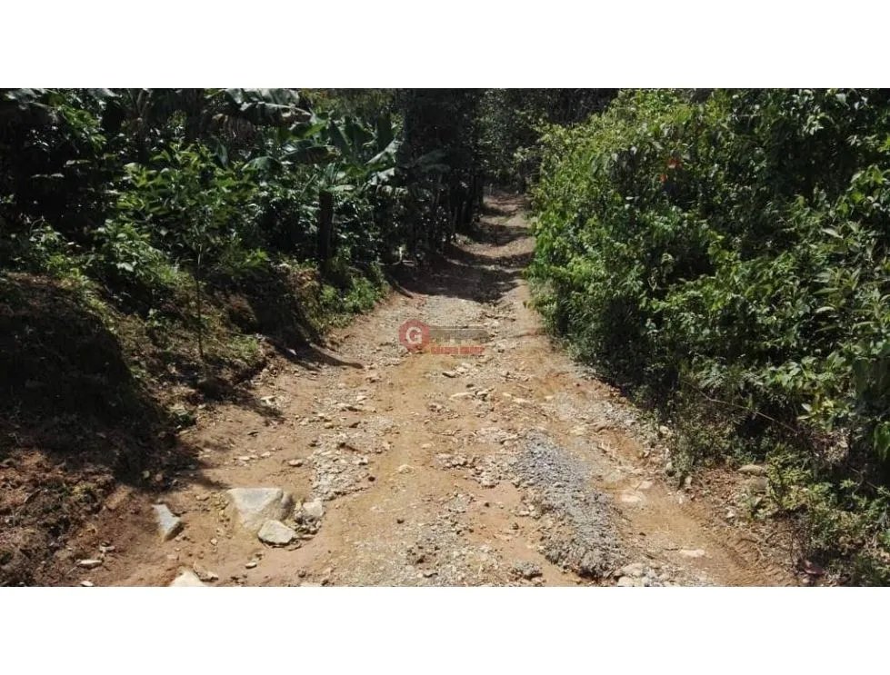 Land/Farm for sale in Boquete