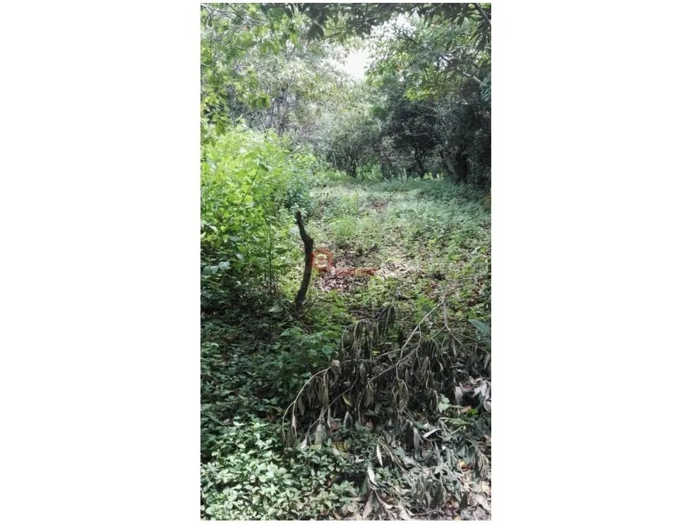Land/Farm for sale in Boquete