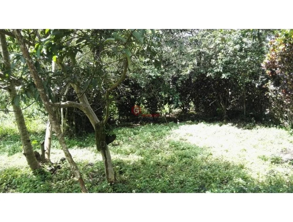 Land/Farm for sale in Boquete