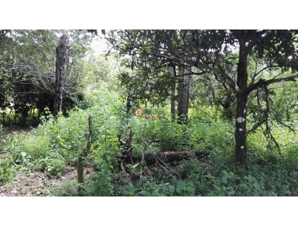 Land/Farm for sale in Boquete