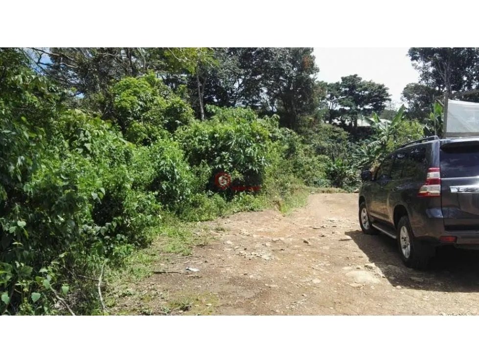 Land/Farm for sale in Boquete