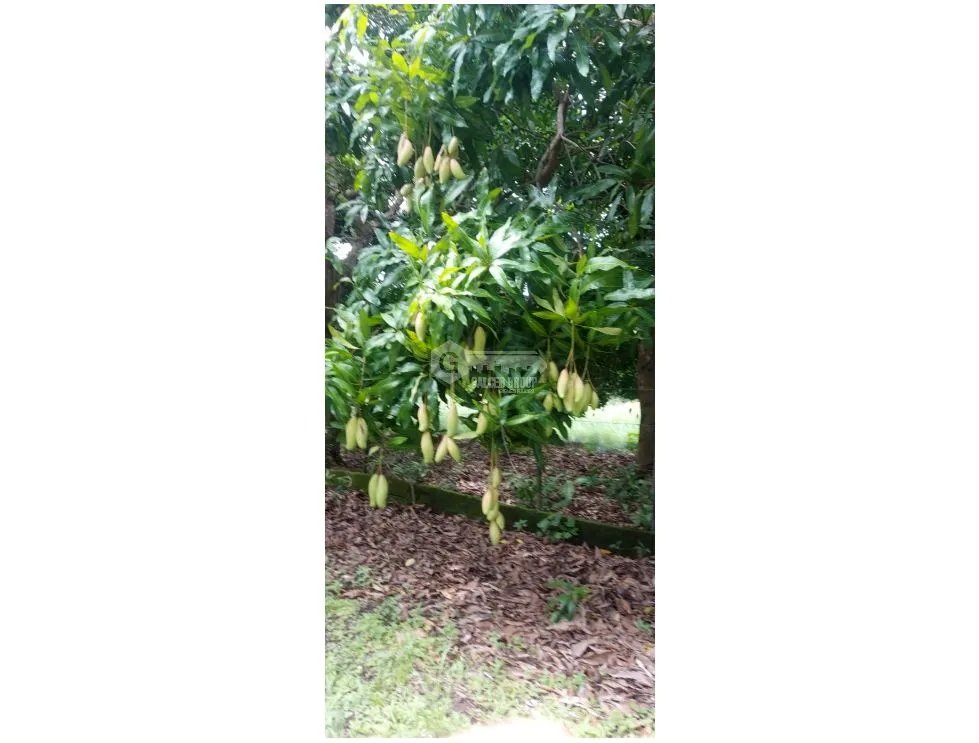 Building Lot for sale in Chame