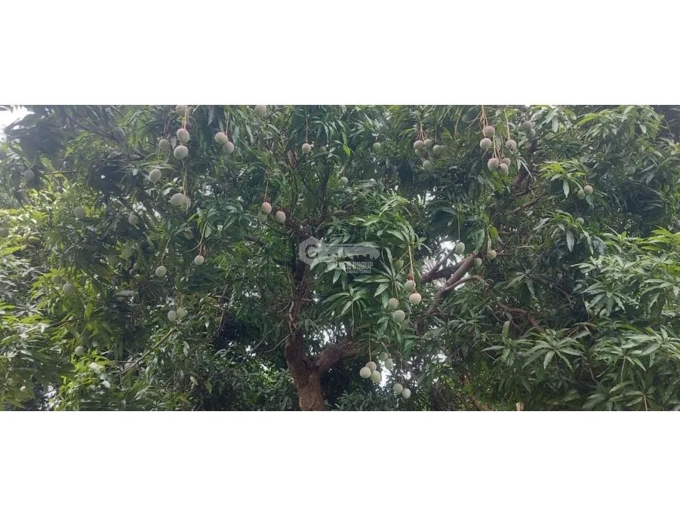 Building Lot for sale in Chame