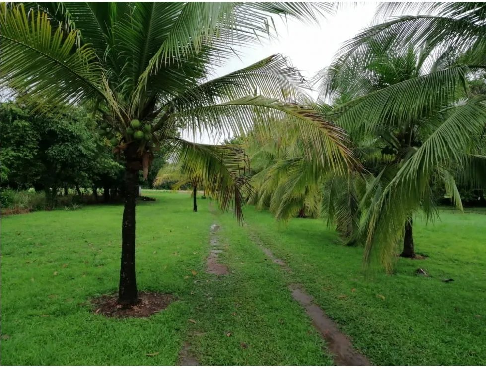 Land/Farm for sale in Coronado