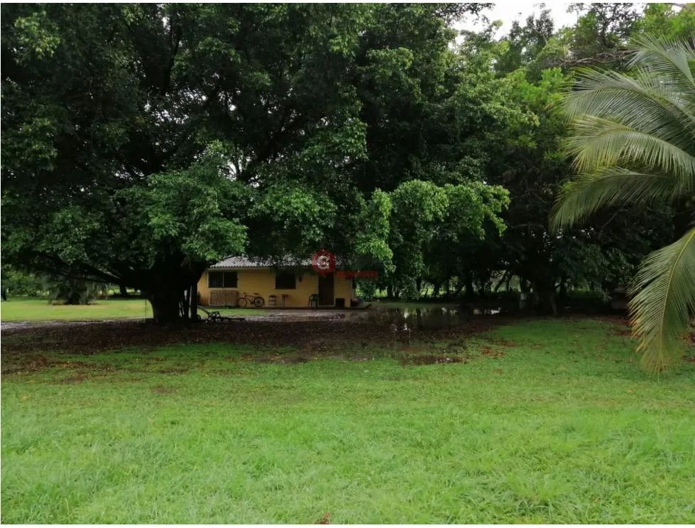 Land/Farm for sale in Coronado