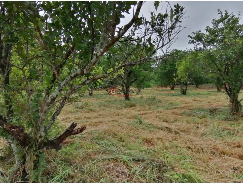 Land/Farm for sale in Coronado