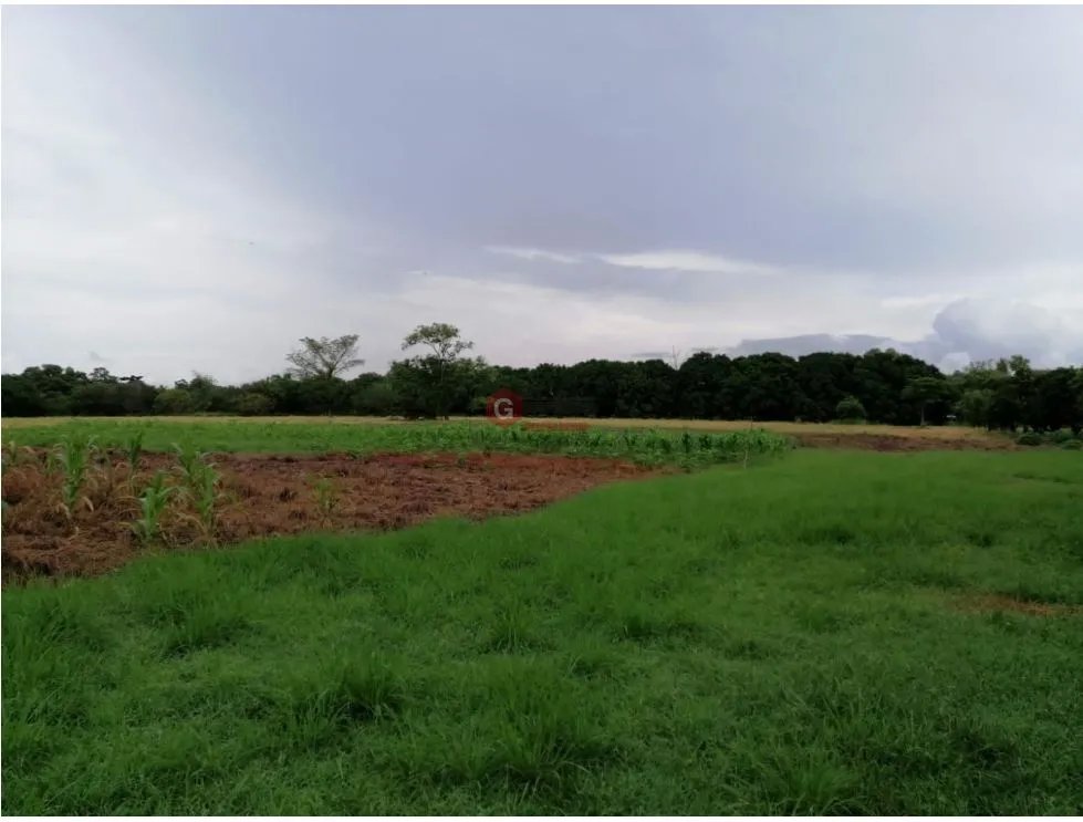 Land/Farm for sale in Coronado