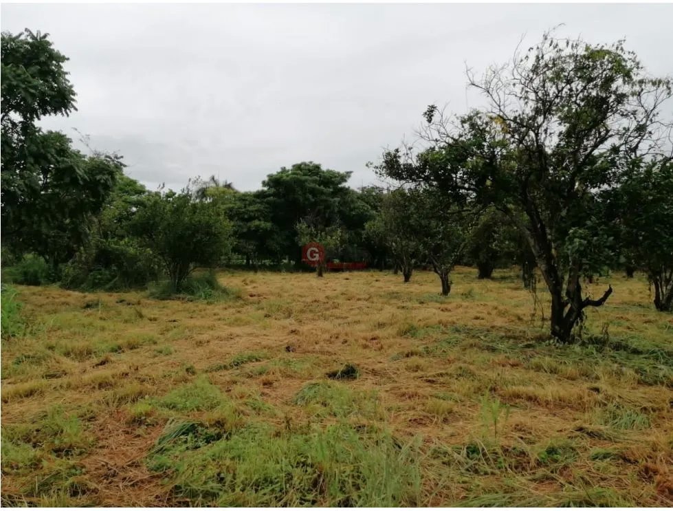 Land/Farm for sale in Coronado