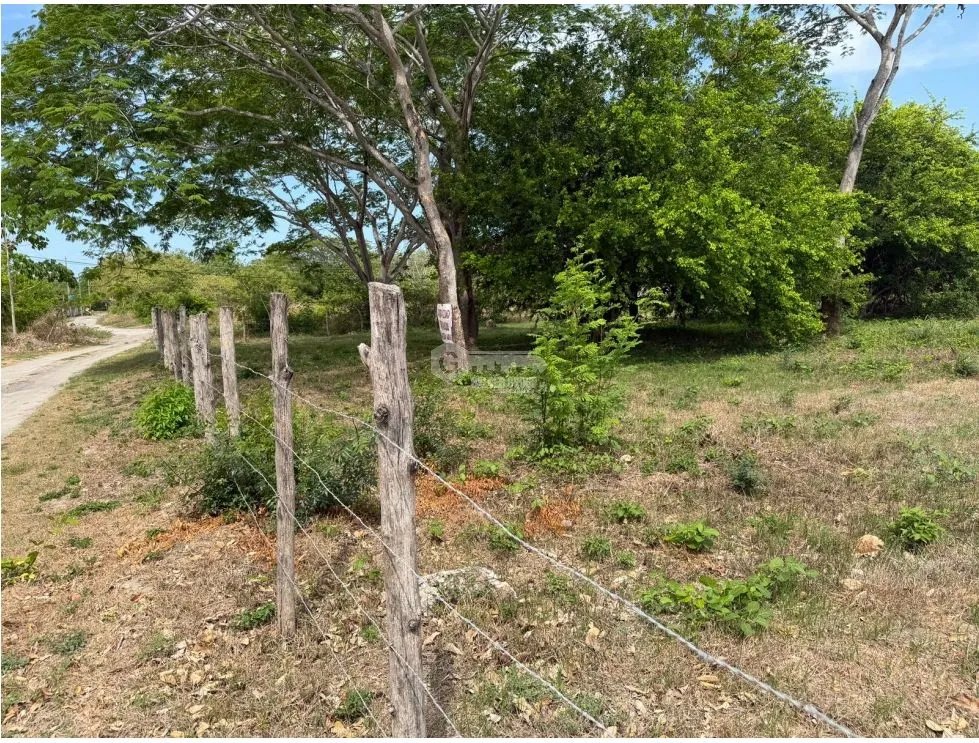 TERRENO / PLAYA MALIBU / 2000m2 / SEGUNDA LINEA DEL MAR