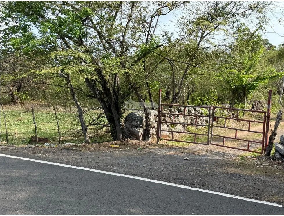 SE VENDE FINCA VIA ALTOS DEL MARIA DE 30 HECTAREAS  FRENTE A CALLE