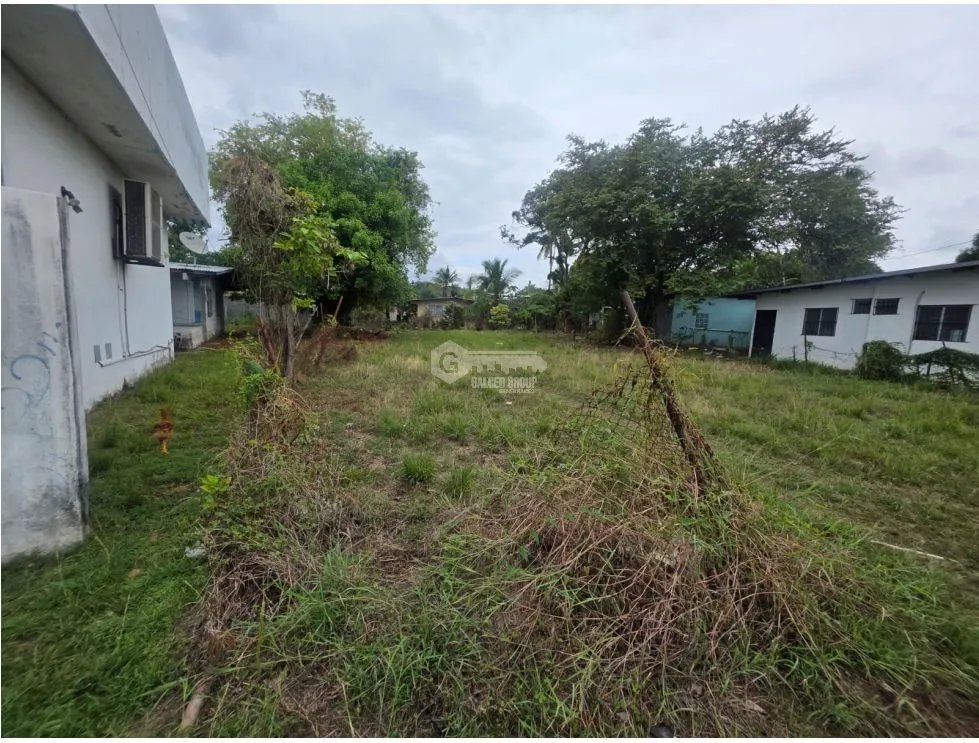 SE VENDE TERRENO PLANO EN CHAME COLONCITO SOBRE VIA INTERAMERICANA
