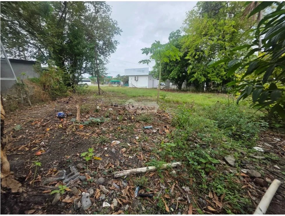 SE VENDE TERRENO PLANO EN CHAME COLONCITO SOBRE VIA INTERAMERICANA