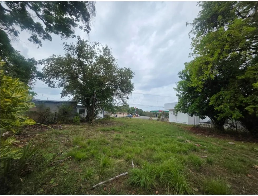 SE VENDE TERRENO PLANO EN CHAME COLONCITO SOBRE VIA INTERAMERICANA