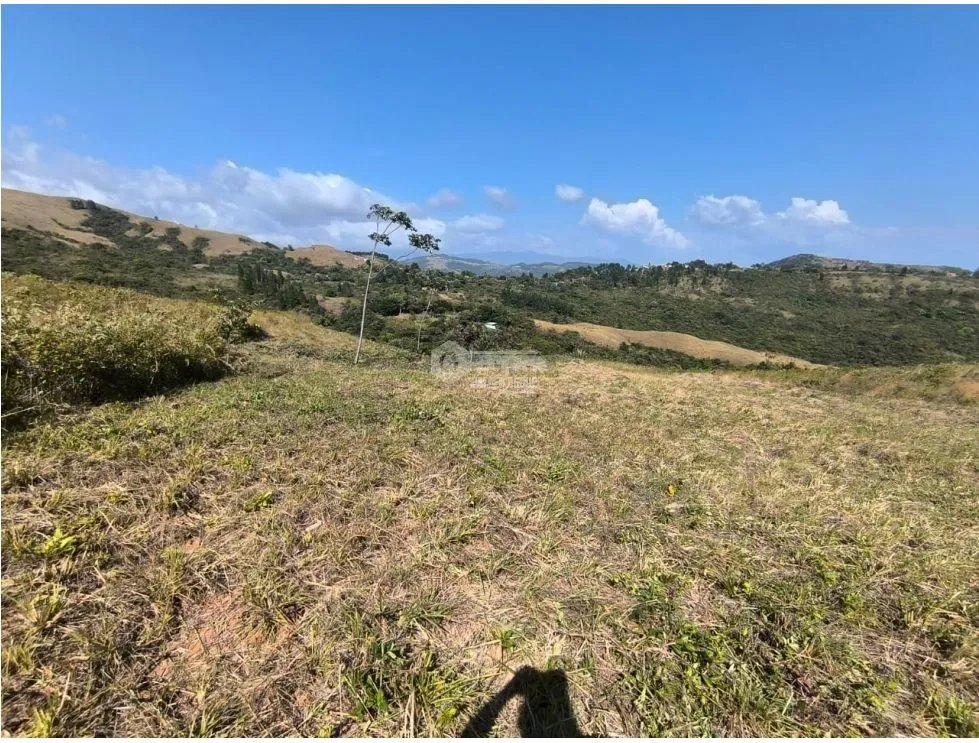 Building Lot for sale in San Carlos