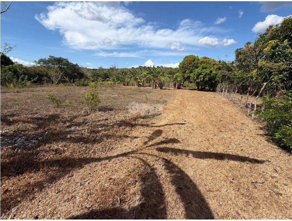 Building Lot for sale in San Carlos