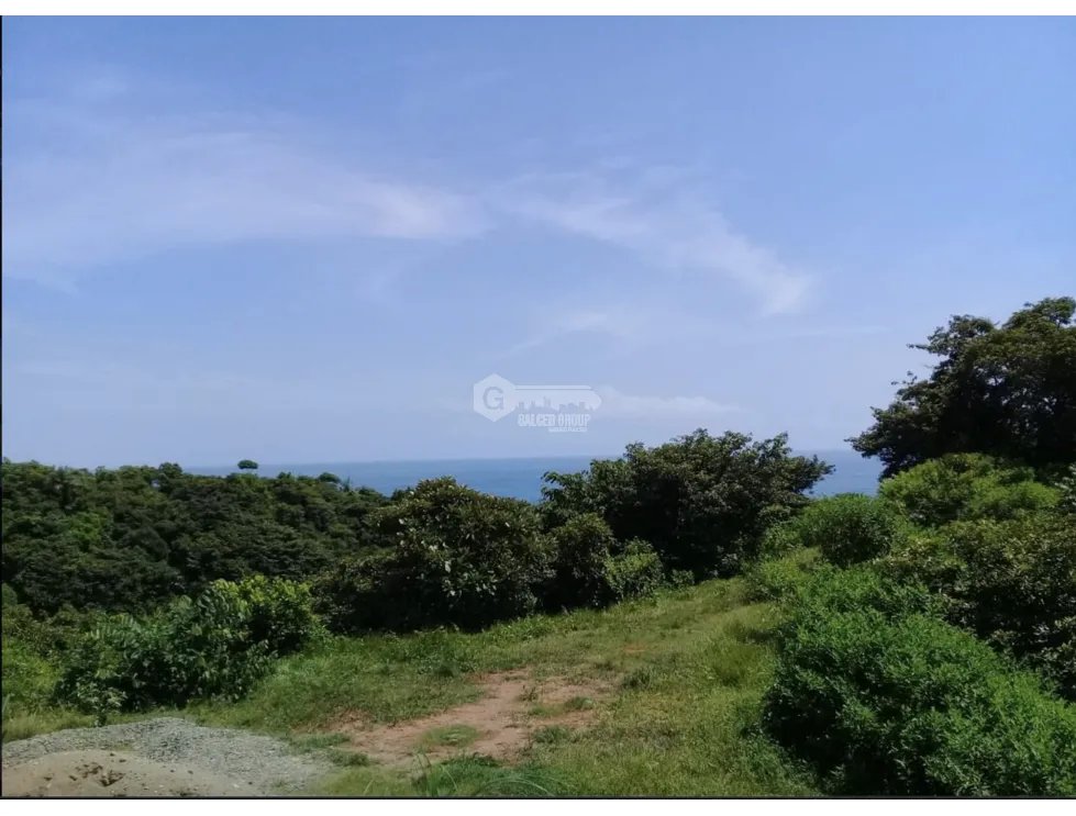 COLON / PLAYA CHIQUITA / 100 HECTAREAS / PARA DESARROLLO FRENTE AL MAR