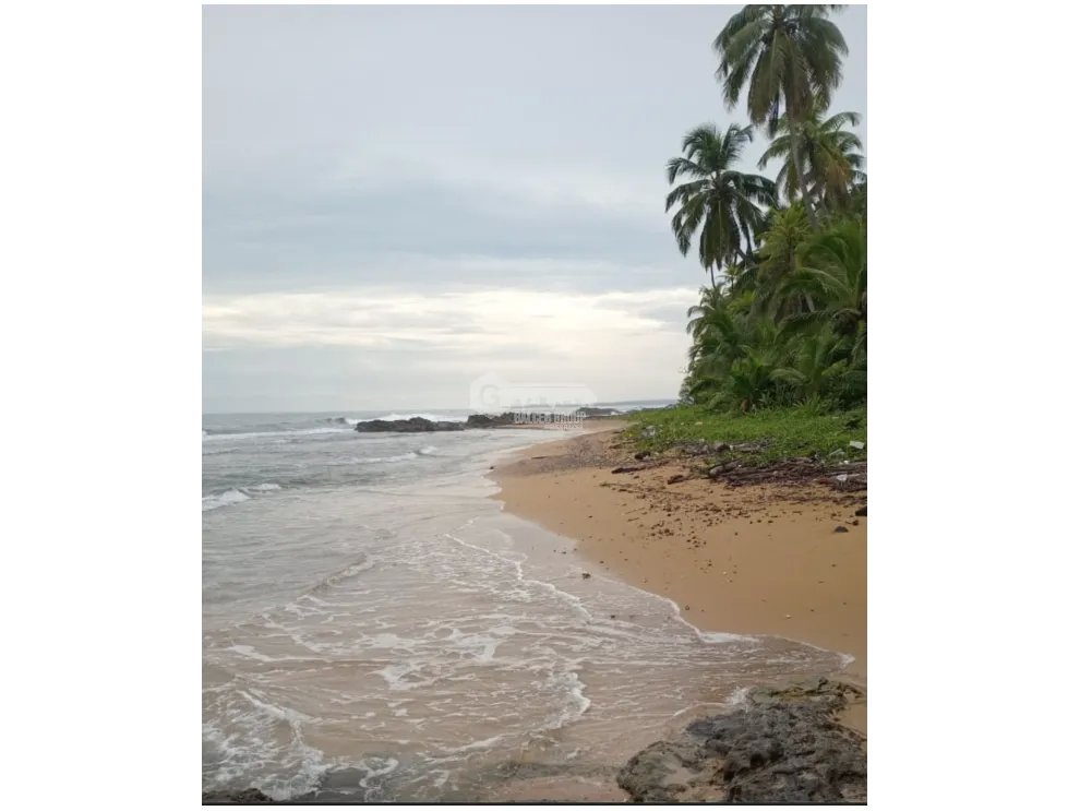 COLON / PLAYA CHIQUITA / 100 HECTAREAS / PARA DESARROLLO FRENTE AL MAR