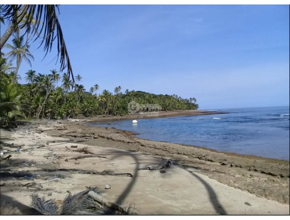 COLON / PLAYA CHIQUITA / 100 HECTAREAS / PARA DESARROLLO FRENTE AL MAR