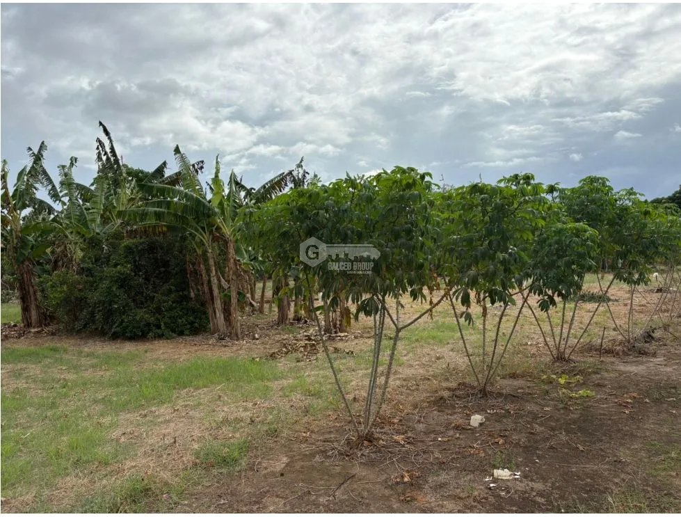 Building Lot for sale in Chame