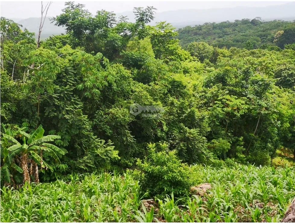 Building Lot for sale in Chame