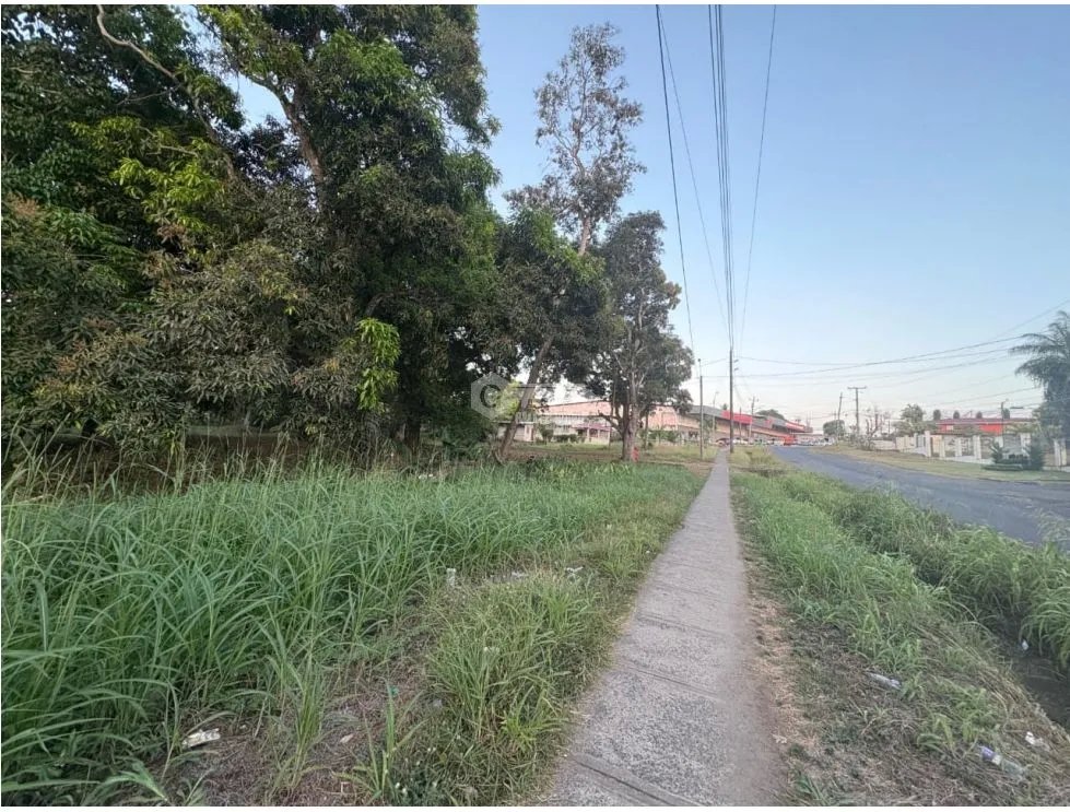Building Lot for sale in El Espino