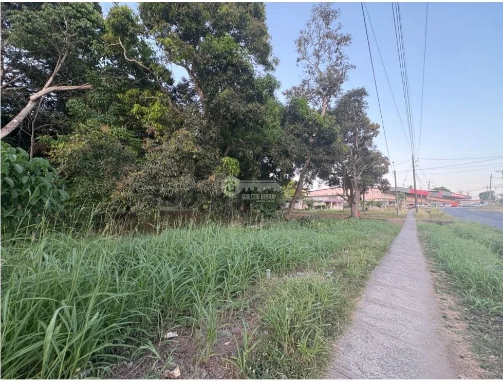 Building Lot for sale in El Espino