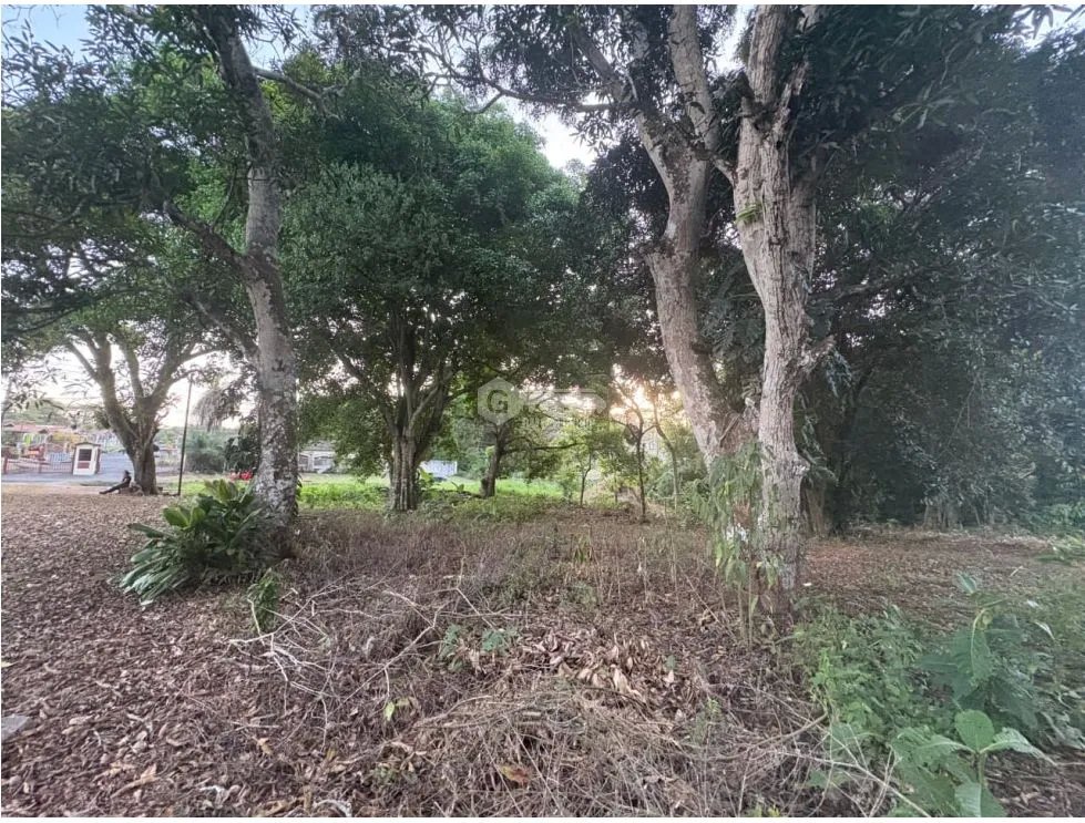 Building Lot for sale in El Espino