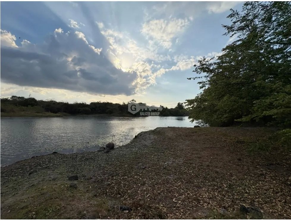 Building Lot for sale in San Carlos